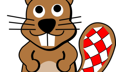 Dabar natjecanje – sudjelovali smo i ove godine