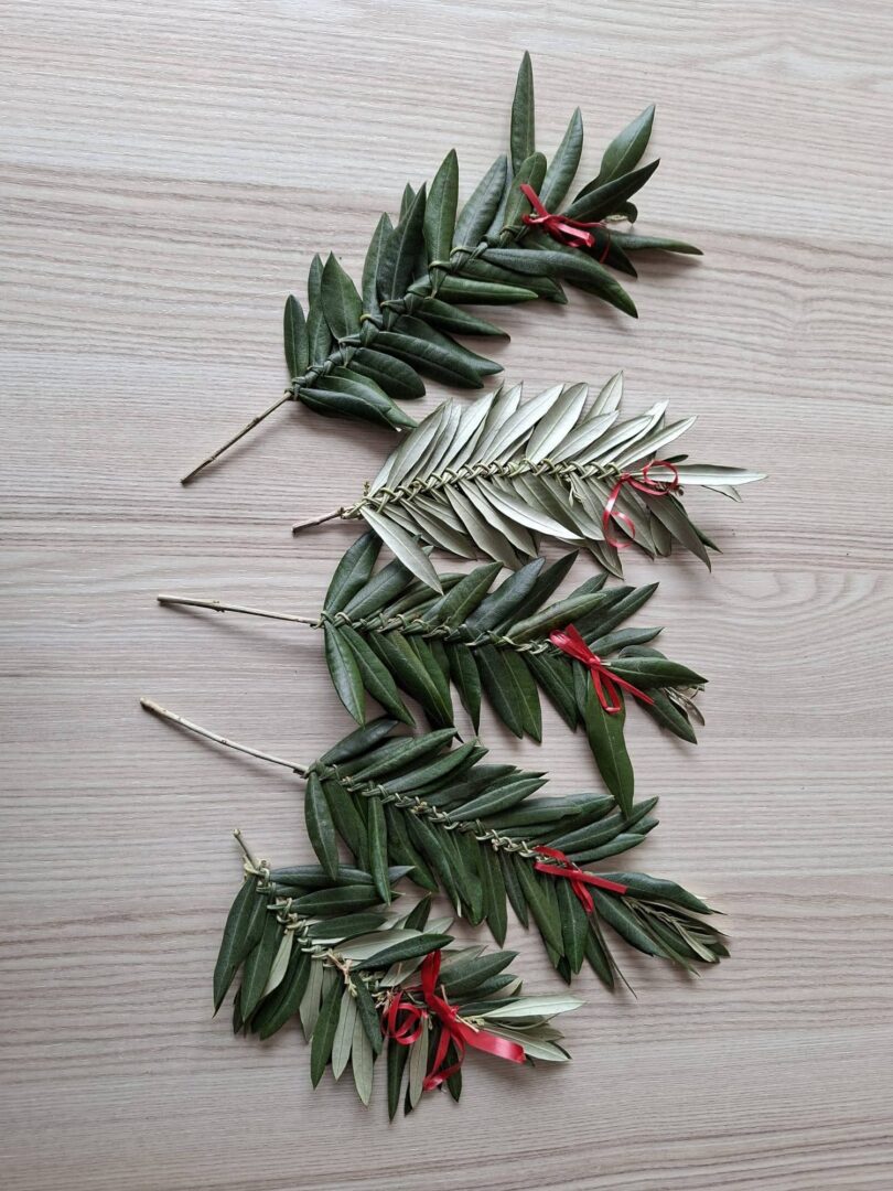 FB_IMG_1774742069384